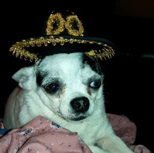 Meet your Posher, Mckenna